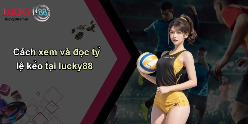 Cách xem và đọc tỷ lệ kèo tại lucky88
