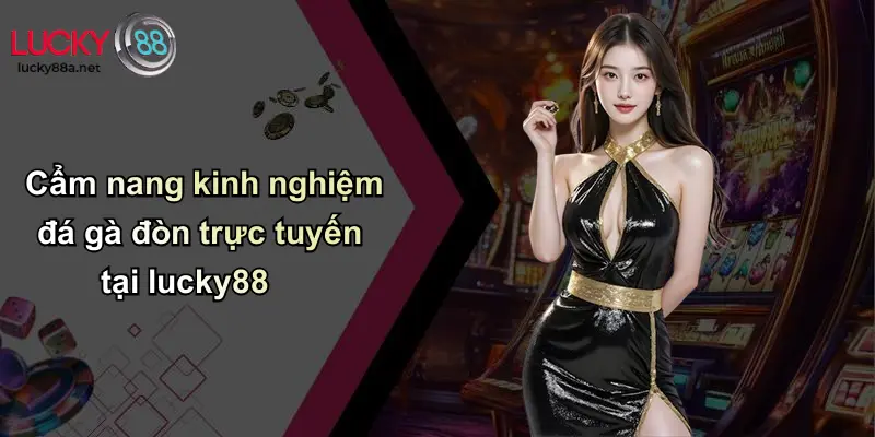 Cẩm nang kinh nghiệm đá gà đòn trực tuyến tại lucky88