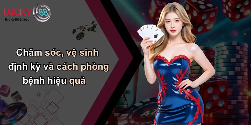 Chăm sóc, vệ sinh định kỳ và cách phòng bệnh hiệu quả