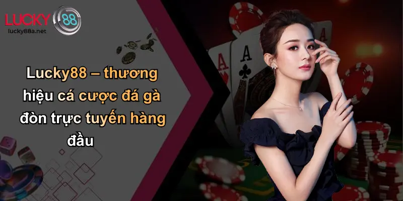 Lucky88 – thương hiệu cá cược đá gà đòn trực tuyến hàng đầu