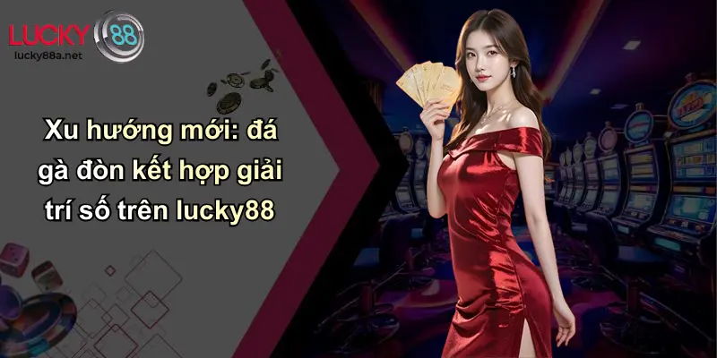 Xu hướng mới: đá gà đòn kết hợp giải trí số trên lucky88